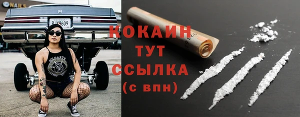 ПСИЛОЦИБИНОВЫЕ ГРИБЫ Бородино