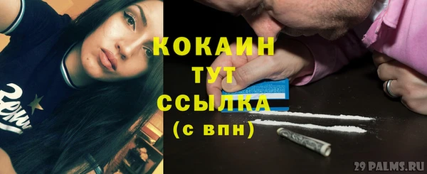 ПСИЛОЦИБИНОВЫЕ ГРИБЫ Бородино