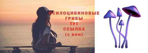 ПСИЛОЦИБИНОВЫЕ ГРИБЫ Бородино