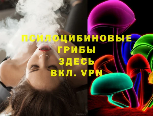 ПСИЛОЦИБИНОВЫЕ ГРИБЫ Бородино