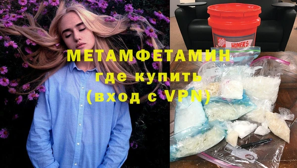 шишки Верея