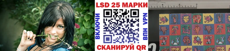 что такое наркотик  Медногорск  kraken онион  Марки N-bome 1500мкг 