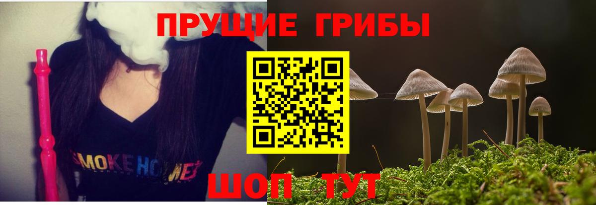 Псилоцибиновые грибы GOLDEN TEACHER  купить   Медногорск  Вход с VPN 